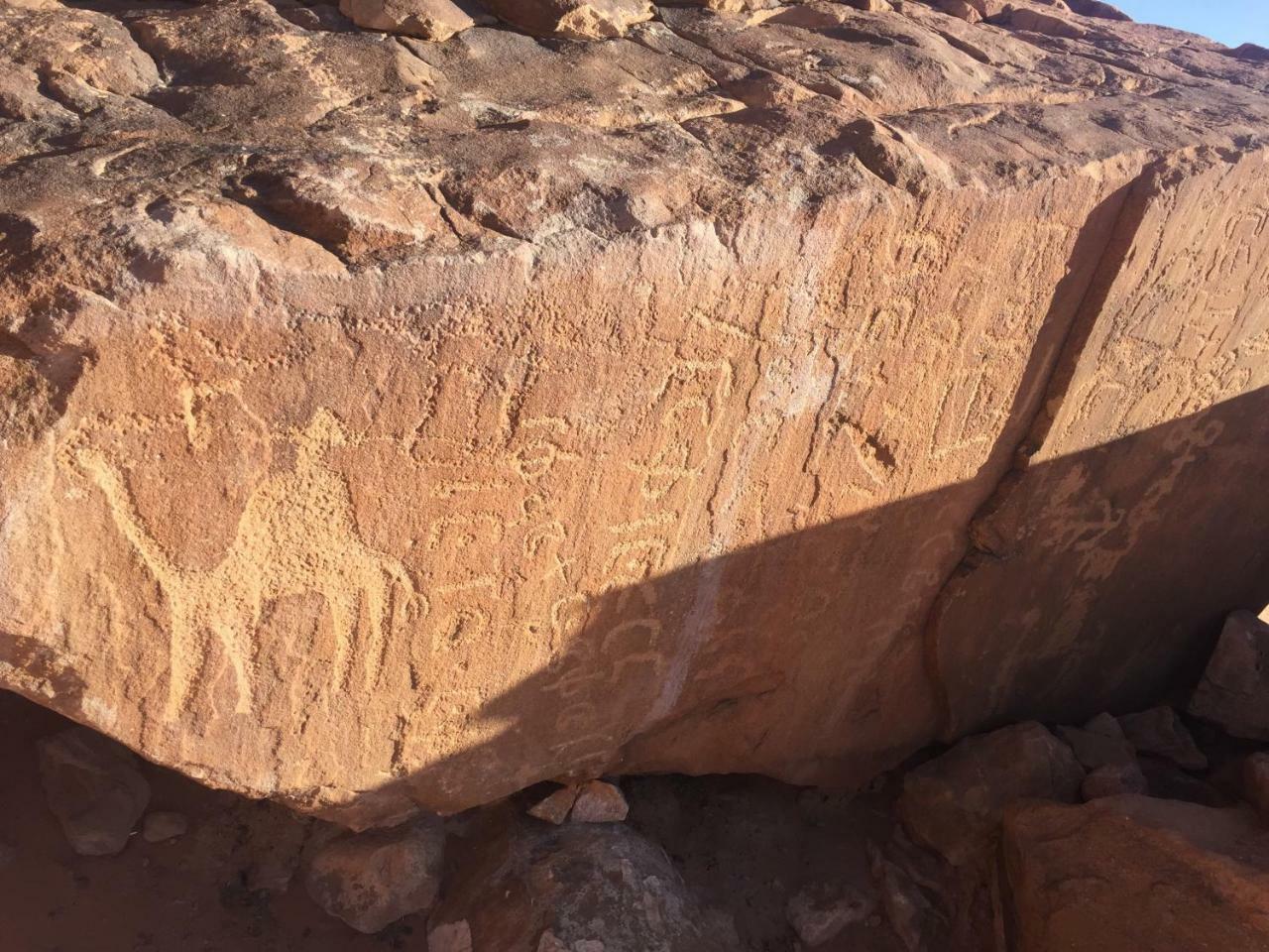 Friend Wadi Rum Exterior photo