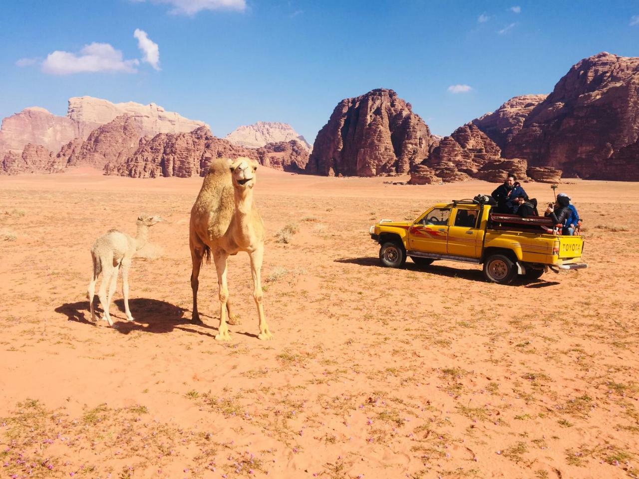 Friend Wadi Rum Exterior photo